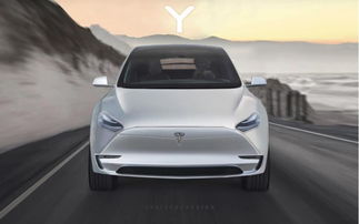 特斯拉3月14日发布小型suv model y,未来将在上海工厂投产